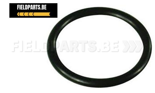 ANNOVI REVERBERI O-ring 31.5 x 4.5